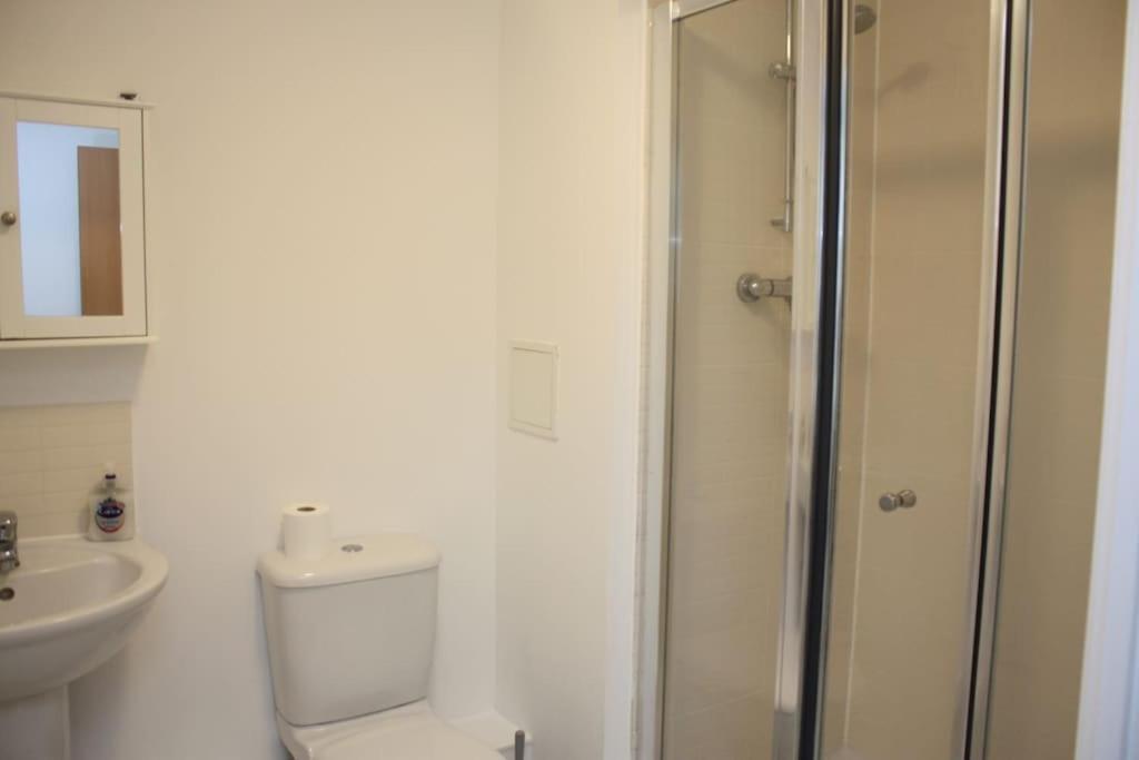 2 Bed 2 Bath Apartment & Parking - Lgw 10Min Drive 크롤리 외부 사진